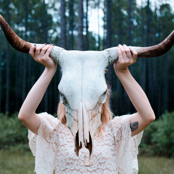 mallory-johndrow-8052-unsplash mallory-johndrow-8052-unsplash